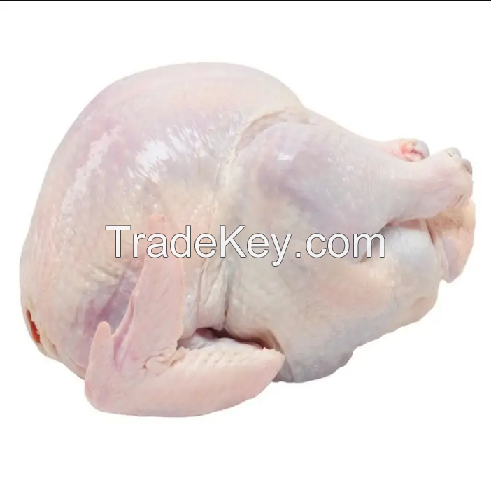 High Quality Chicken in cheap price 