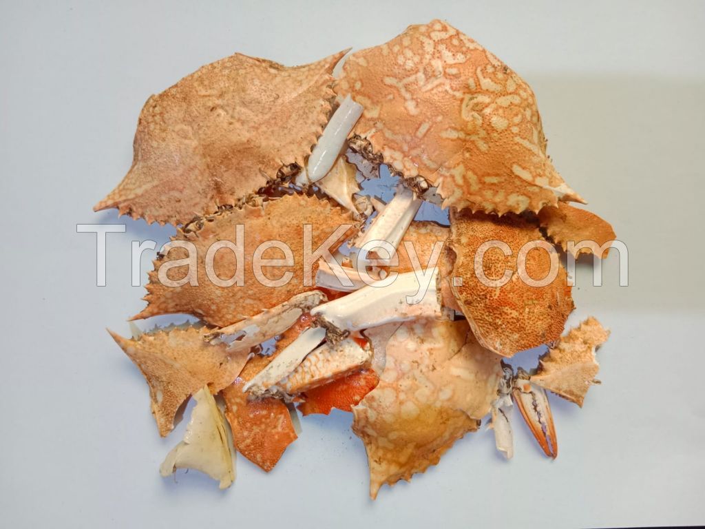 Dried blue-swimming crab shell for Chitin Chitosan Extraction Fertilizer