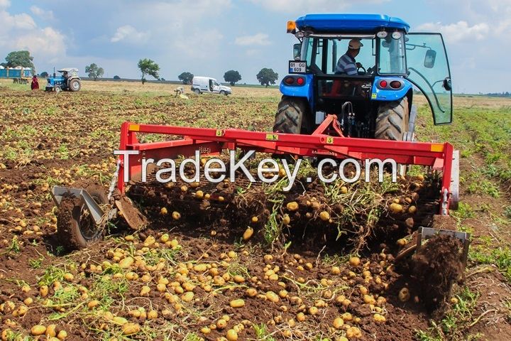 Potato Equipments, Potato machineries.