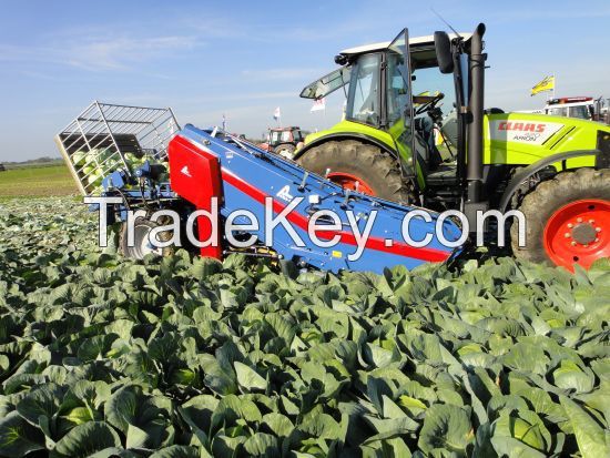 Vegetable Machineries, Vegetable Equipment.