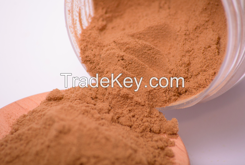 Reishi mushroom extract in powder (50%polysaccharides)