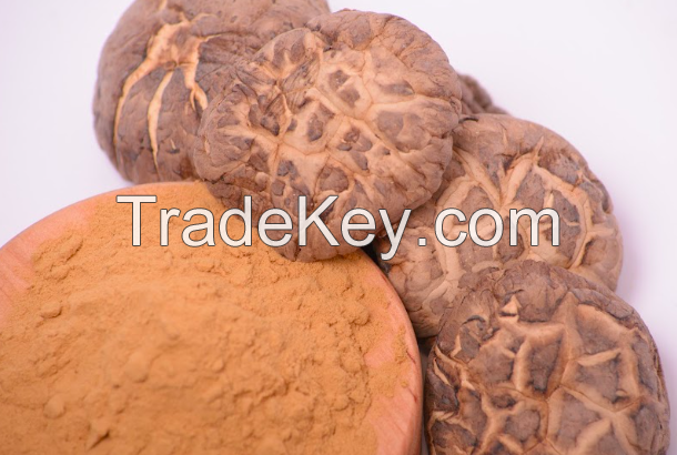 Shiitake mushroom extract in powder (50%polysaccharides)