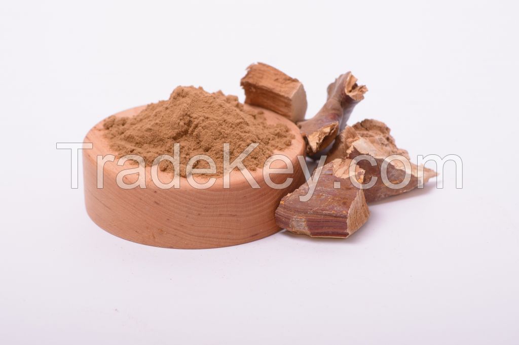 Reishi mushroom extract in powder (50%polysaccharides)