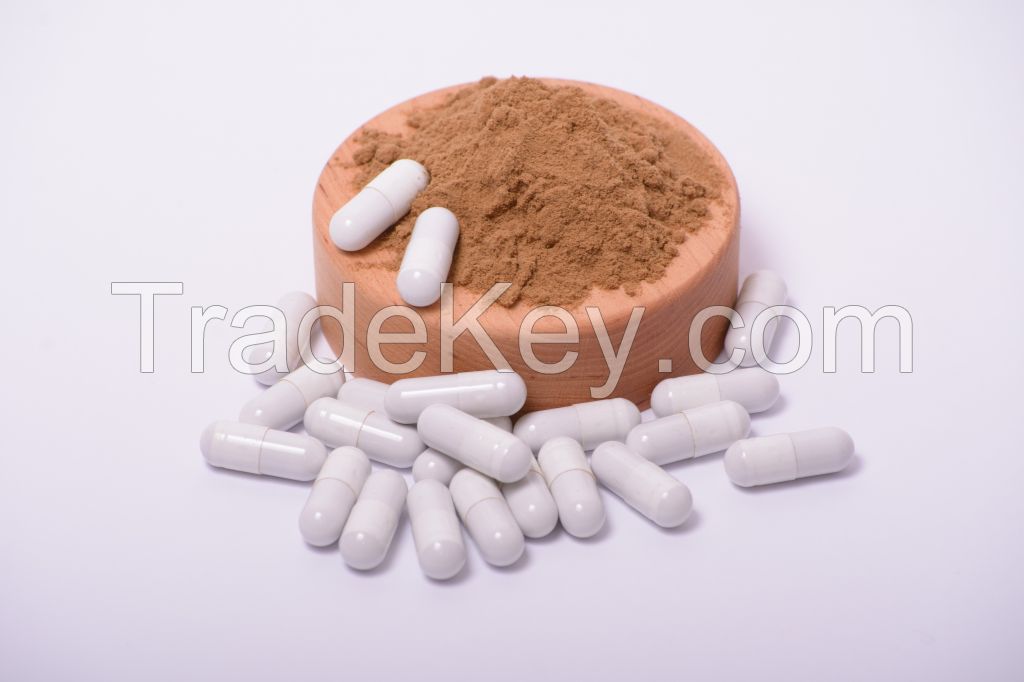 Reishi mushroom extract in powder (50%polysaccharides)