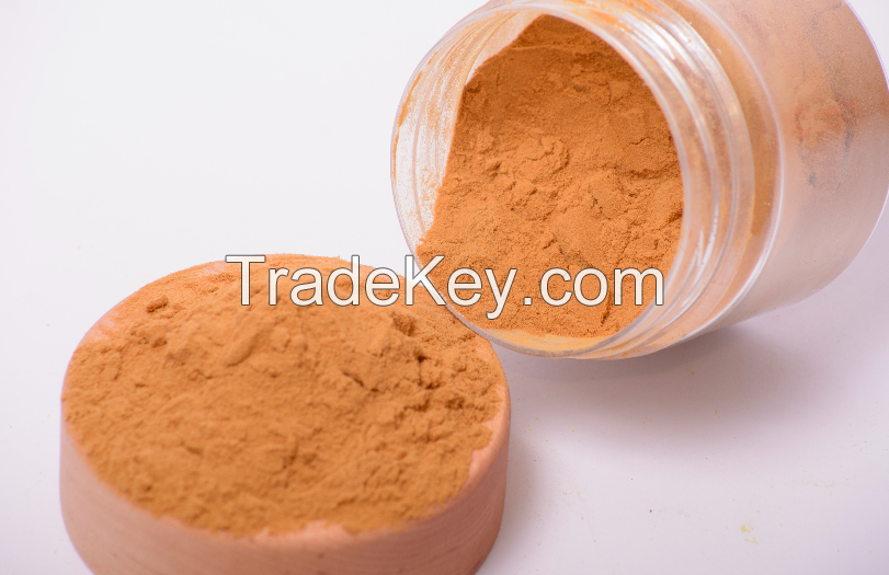 Cordyceps mushroom extract in powder (50%polysaccharides)