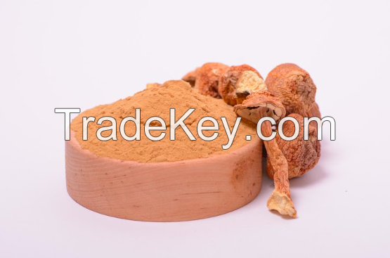 Agaricus blazei  mushroom extract in powder (50%polysaccharides)