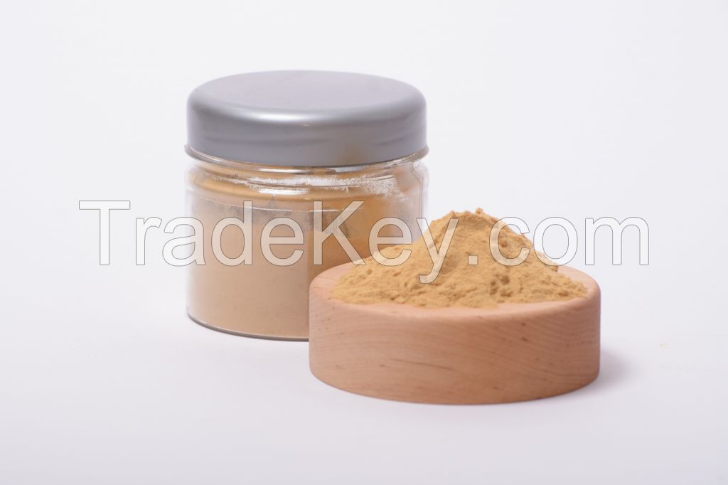 Lion's Mane extract in powder (50%polysaccharides)