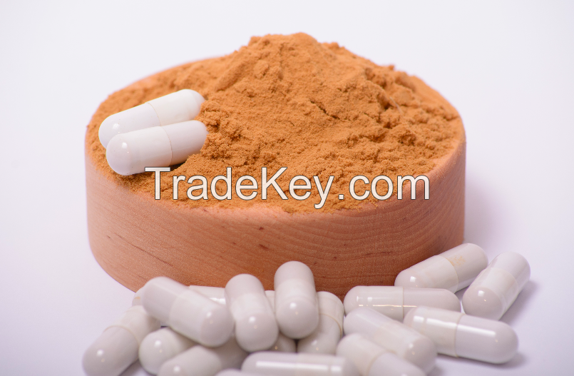 Cordyceps mushroom extract in powder (50%polysaccharides)