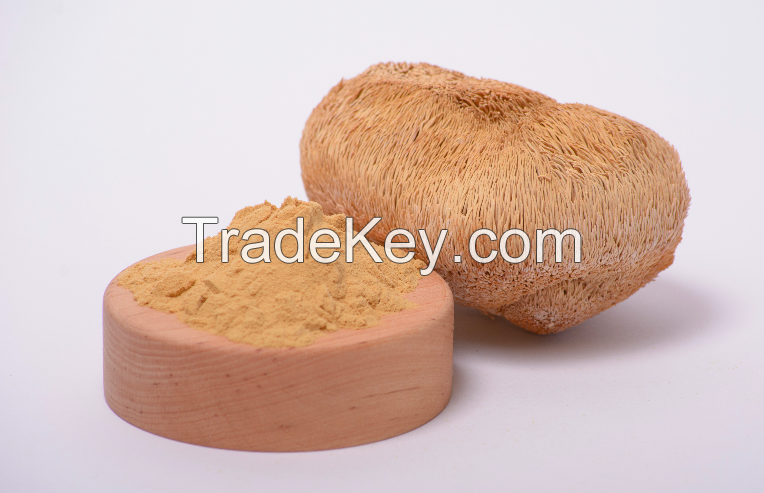 Lion&#039;s Mane extract in powder (50%polysaccharides)