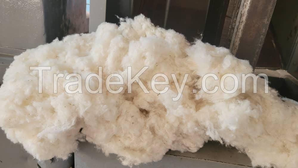 Raw Cotton 100% Organic