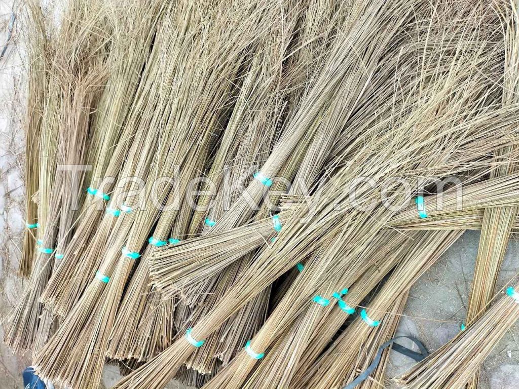 Palm Broom Stick
