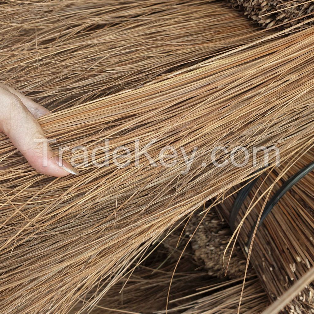 Coconut Broomstick