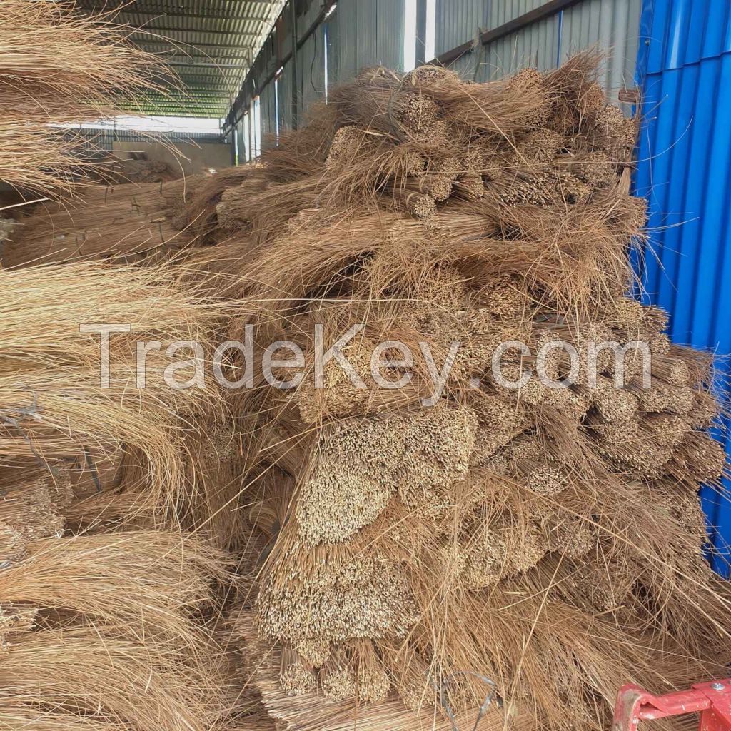 Coconut Broomstick