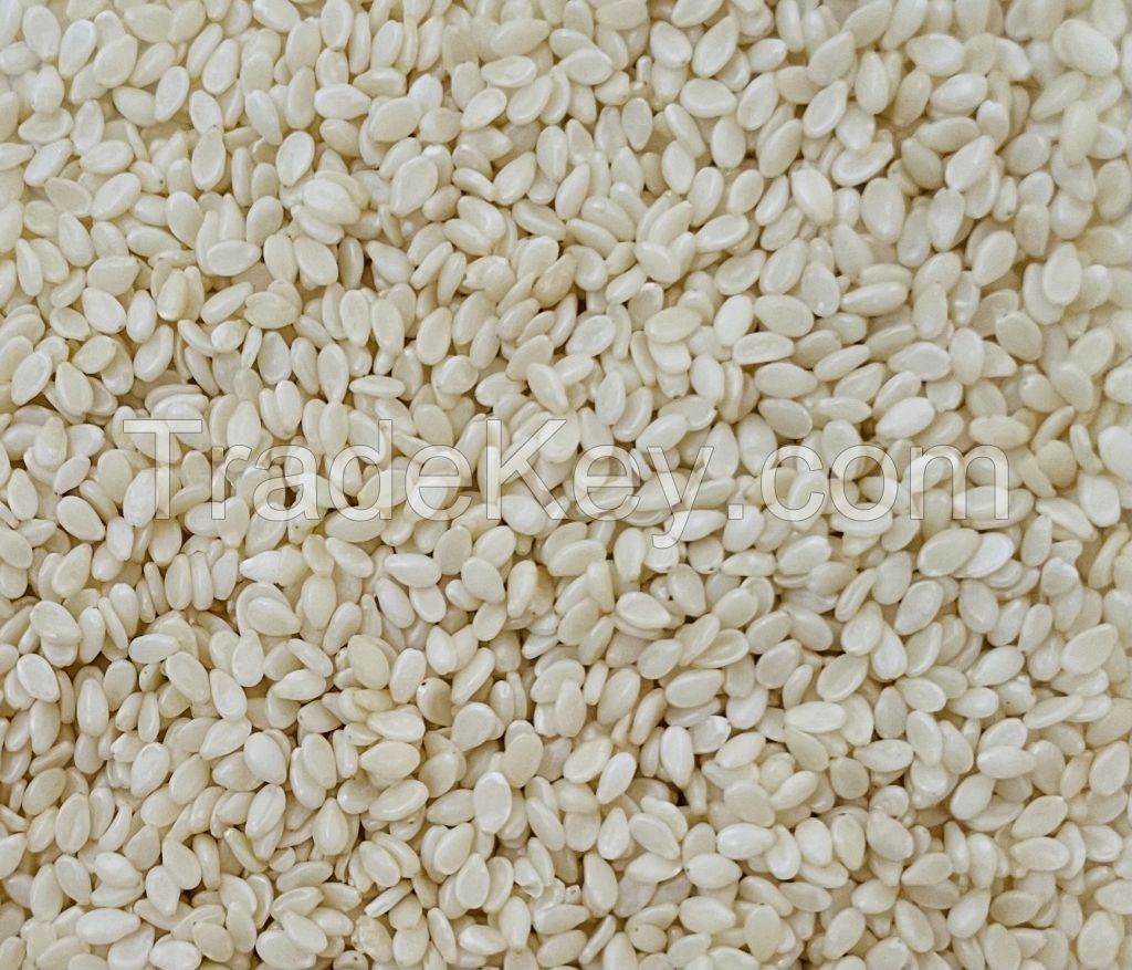 Sesame Seeds