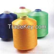 Polyester Yarn