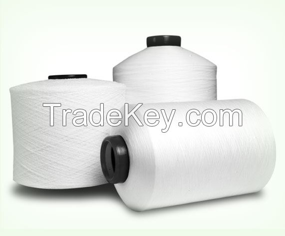 Polyester Yarn