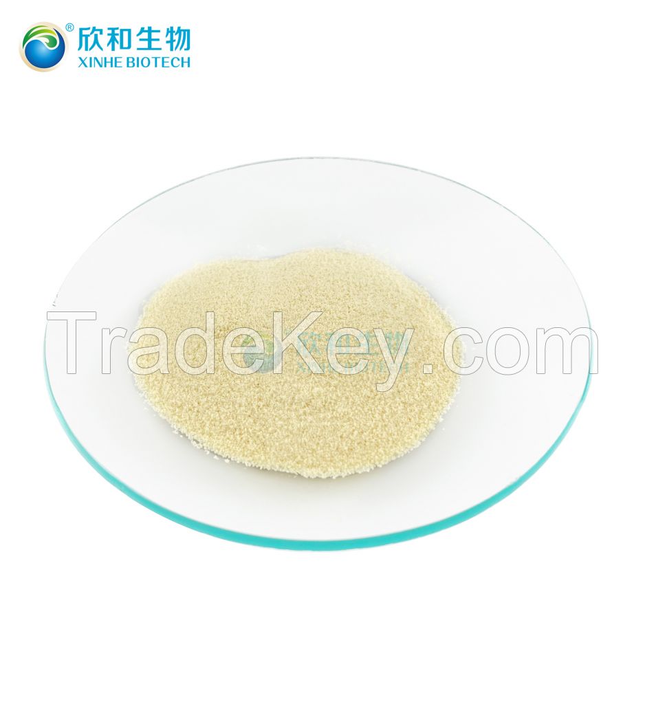 Arachidonic Acid Powder