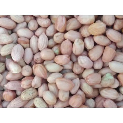 High Oleic Groundnut Indian Peanut kernels