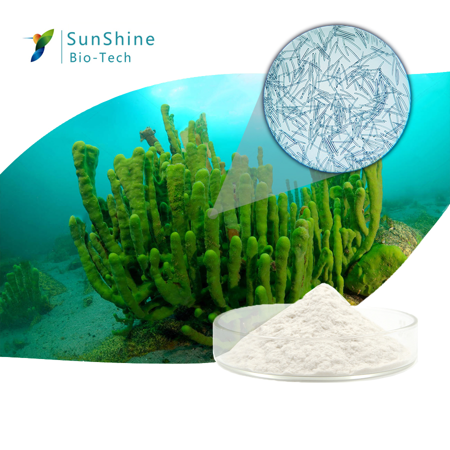 Factory Supply Fresh Water Spicule Exfoliant Powder Hydrolyzed Sponge Spicule Applied In Trouble Skin Spongilla Extract Powder