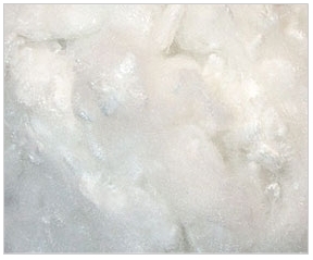 Polyester Staple Fibre