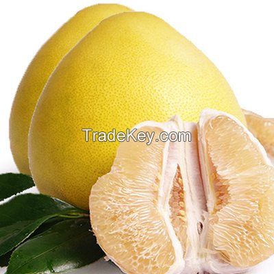 Honey pomelo of Fujian zhangzhou 