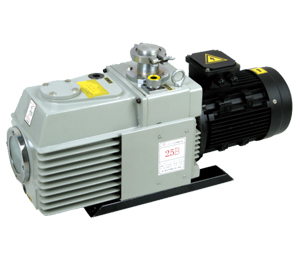 Rotary vacuum pump