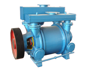 liquid vacuum pump