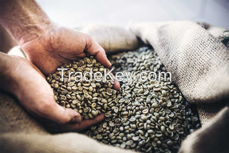 Arabica Coffee Beans