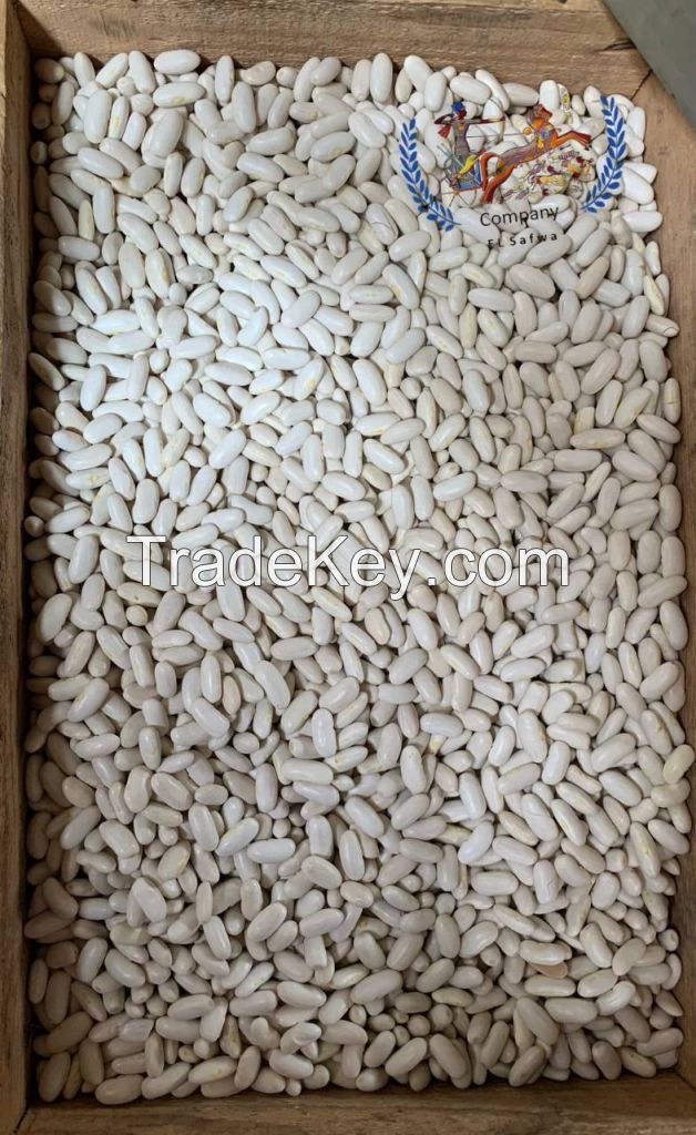 white kidney beans 