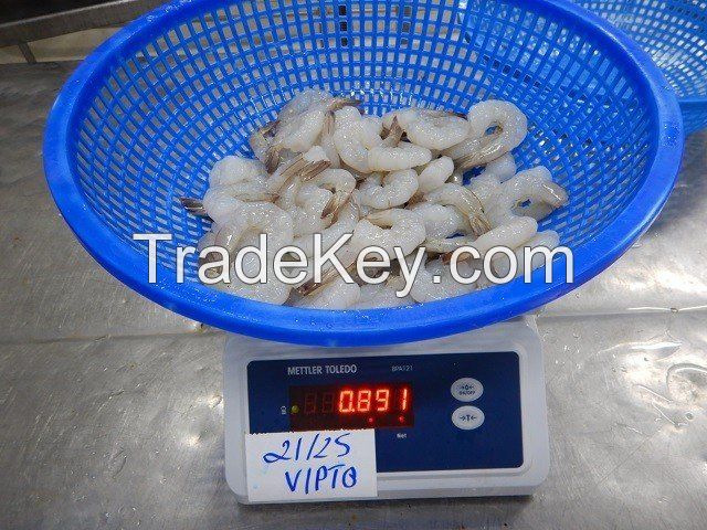 Vannamei white leg shrimp, Blacktiger prawn