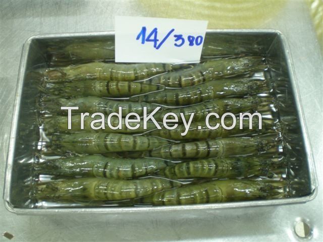 Vannamei white leg shrimp, Blacktiger prawn