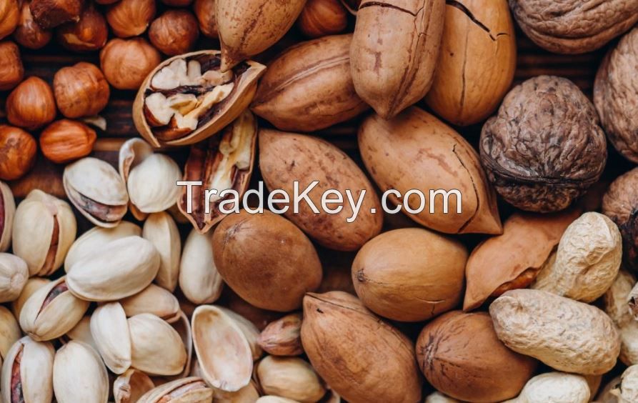 Dry fruits and nuts