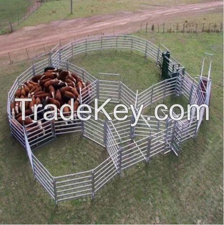 Cattle Fence & Sheep Fence