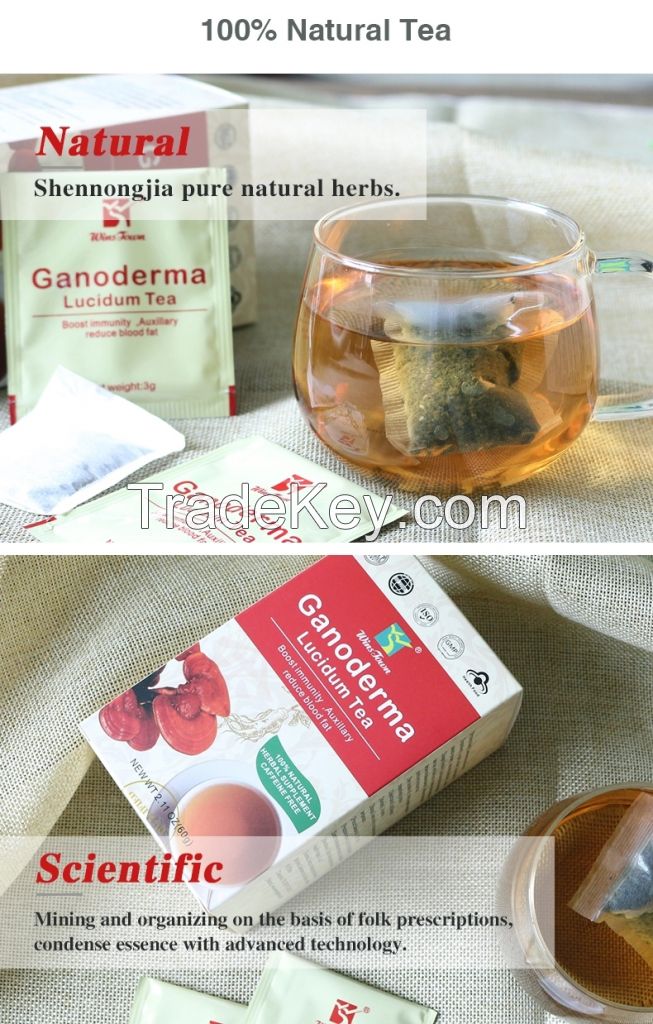 Ganoderma refresh herbal Lingzhi tea organic lucidum reishi invigorate wholesale Natural Detox tea