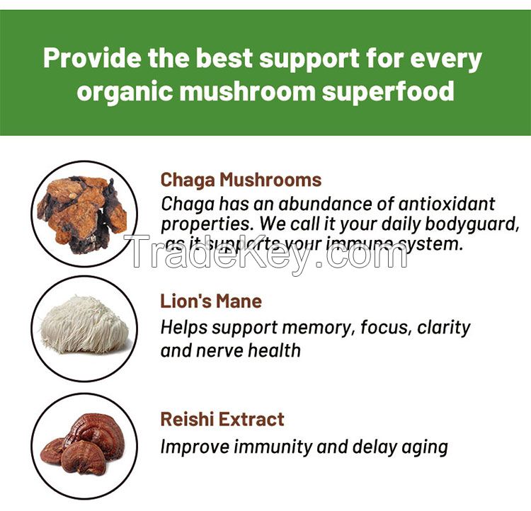 Factory Mushroom Coffee With 6 Superfood Lions Mane Reishi Chaga One Cup Organic Instant Coffee