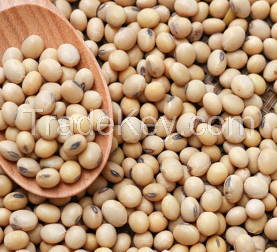 Soya beans 