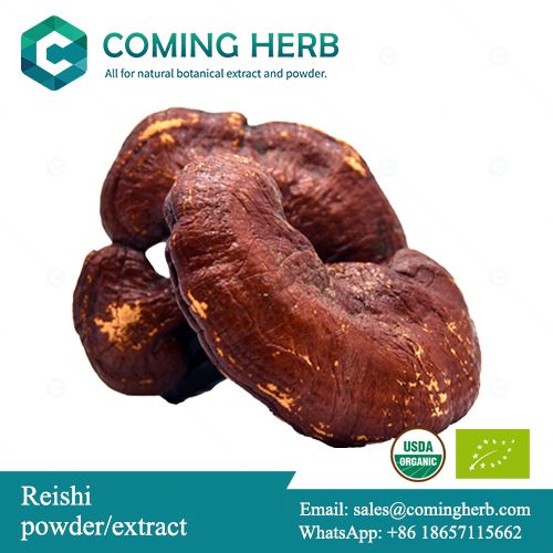 Reishi extract, Reishi powder, Ganoderma lucidum extract, Reishi spore powder, Reishi spore oil, Organic Reishi extract