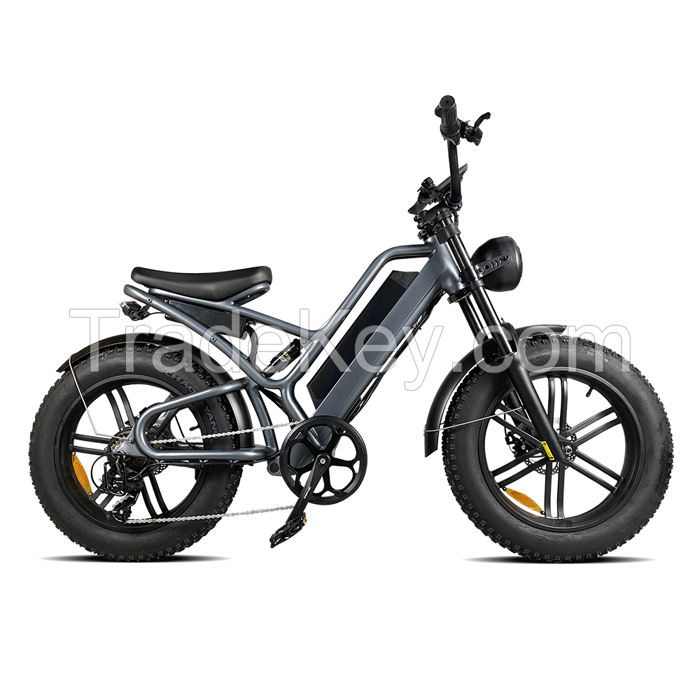 E City bikes, E Mountain bikes,E Fat tire bikes, E Folding bikes, Delivery bikes, E Bike Parts