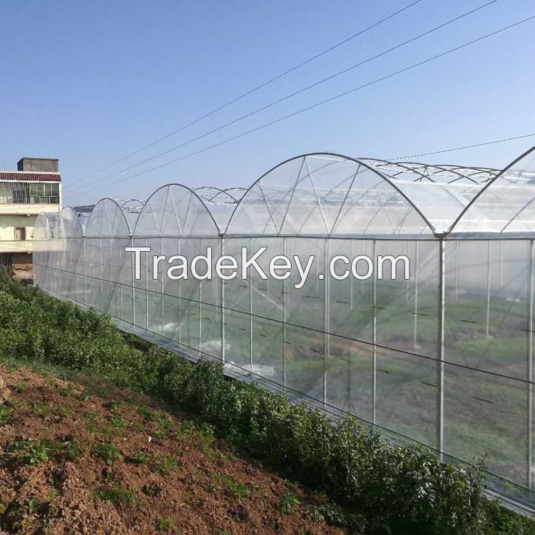 large size multi-span arch plastic film Greenhouse tomato greenhouse