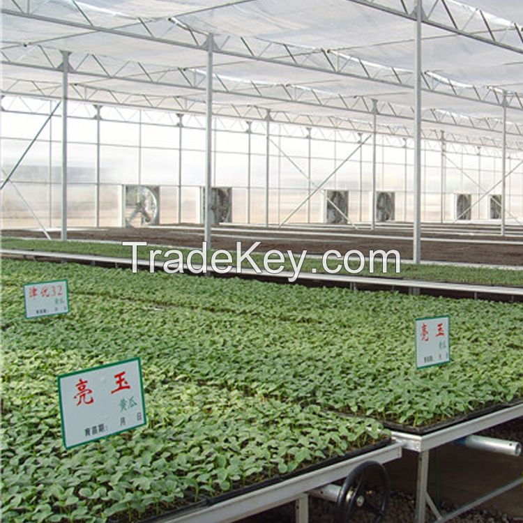 Polycarbonate Venlo Green House Greenhouse Agriculture