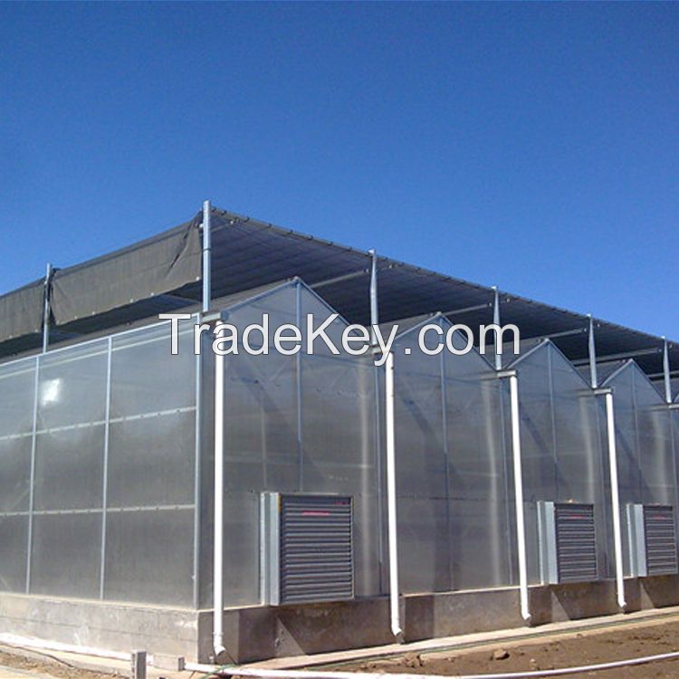 Polycarbonate Venlo Green House Greenhouse Agriculture