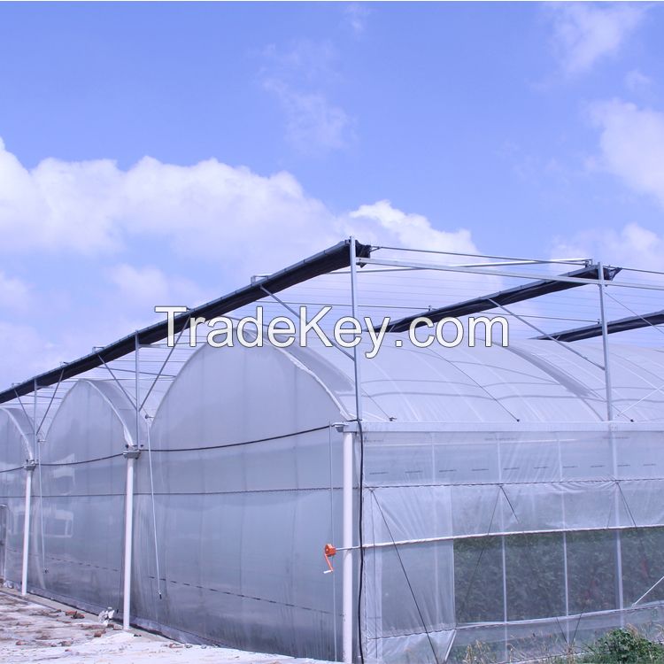 Agriculture multi-span arch plastic film Greenhouse strawberry greenhouse