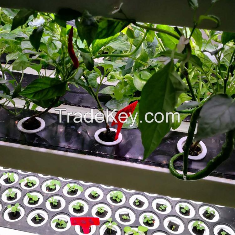 New arrival indoor smart garden hydroponic intelligent vertical farming home hydroponic growing systems