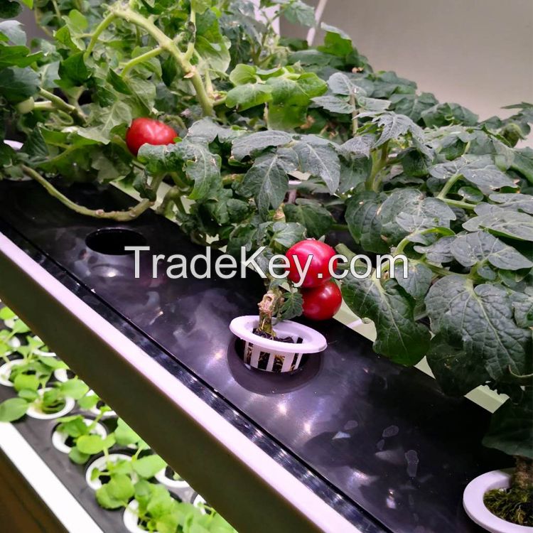 New arrival indoor smart garden hydroponic intelligent vertical farming home hydroponic growing systems