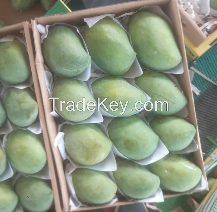 Fresh mango