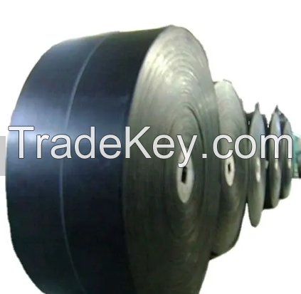 High Temperature Resistant PTFE Aramid Fiber Endless Conveyor Belt