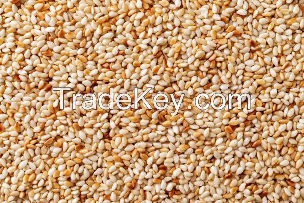 Sesame Seeds