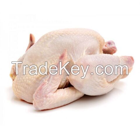 Buy Frozen Chicken, Best Price Frozen Chicken, Wholesale Frozen Chicken