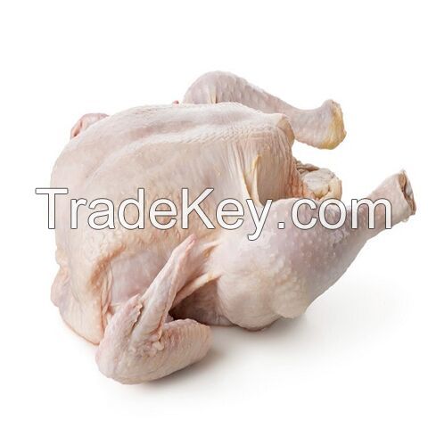 Frozen Chicken For Sale,Buy Frozen Chicken, Best Price Frozen Chicken, Wholesale Frozen Chicken