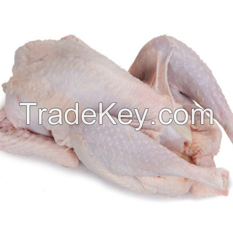 Buy Frozen Chicken, Best Price Frozen Chicken, Wholesale Frozen Chicken